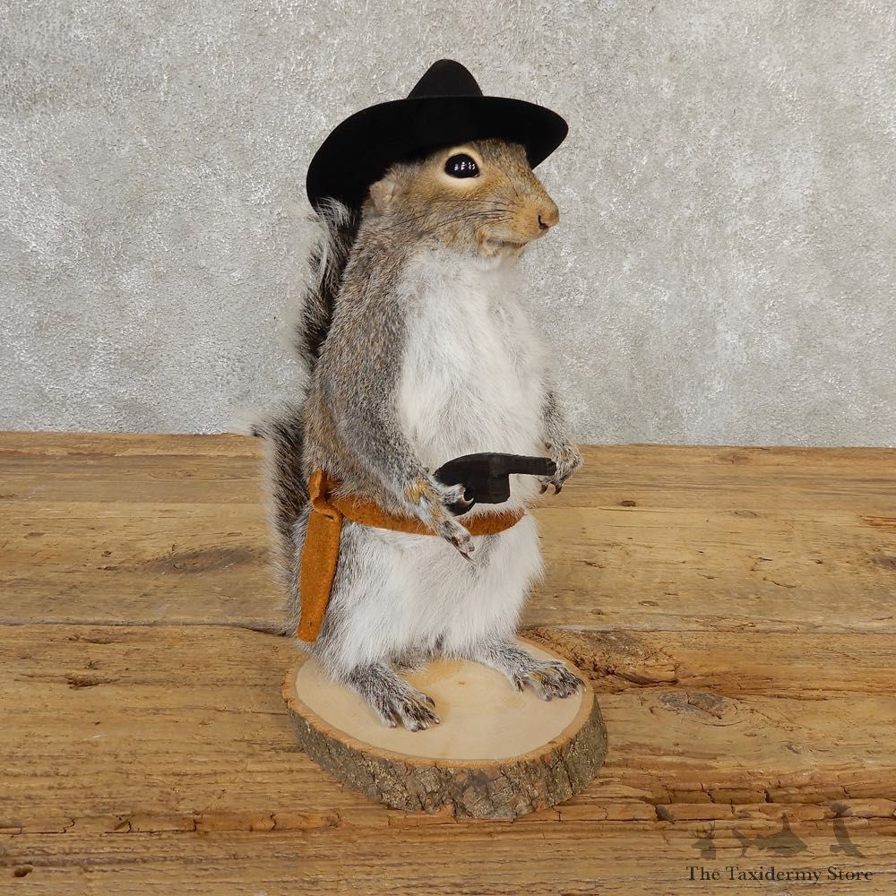 Cowboy Squirrel Novelty Mount For Sale #20711 @ The Taxidermy Store