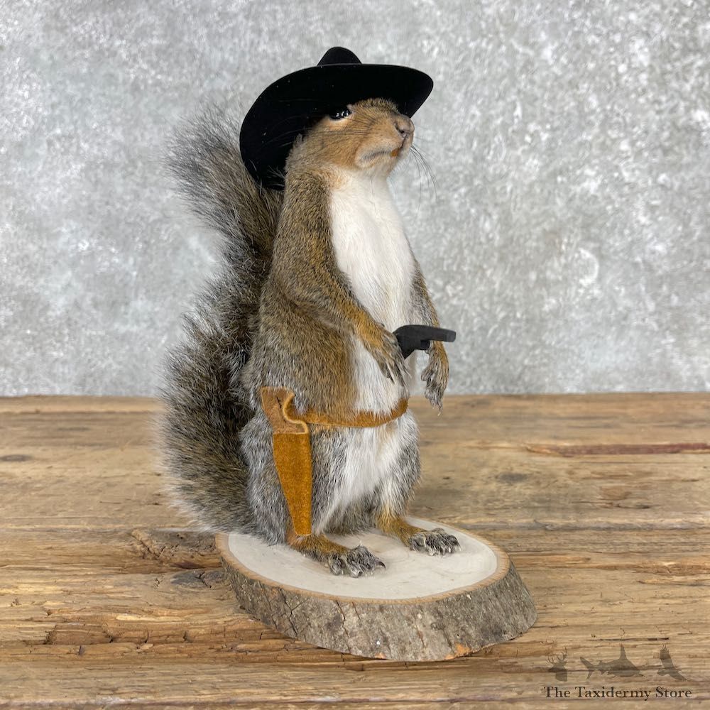 Cowboy Squirrel Novelty Mount For Sale #26083 @ The Taxidermy Store