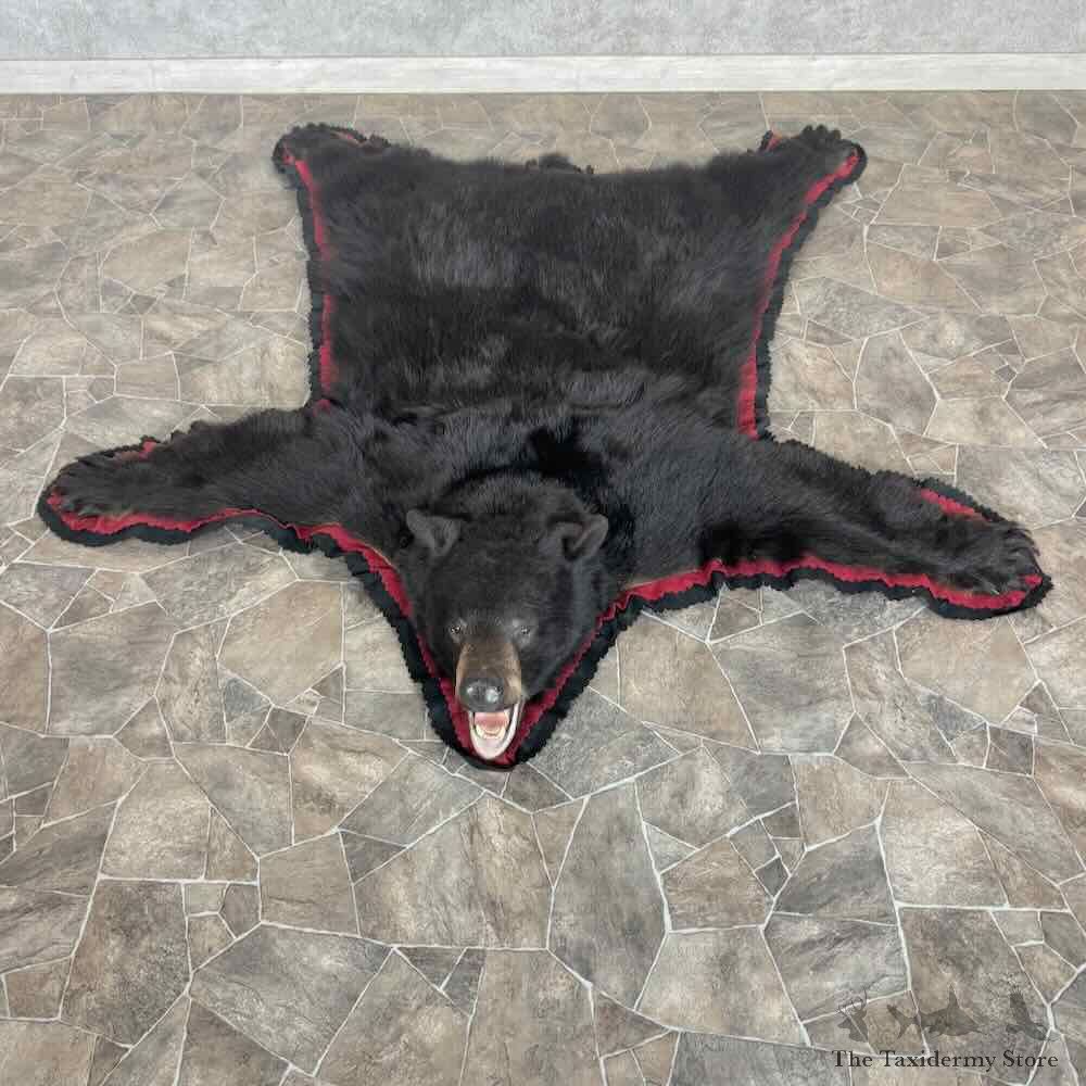Black Bear Full-Size Rug For Sale #31026 @ The Taxidermy Store