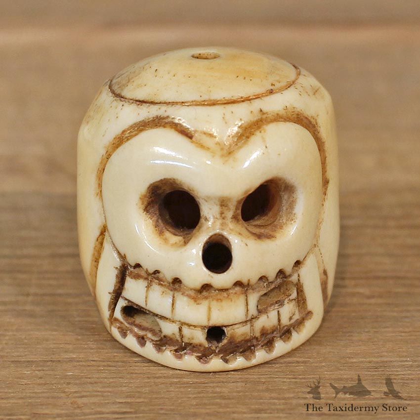 Authentic Native Ivory Carved Skull Figurine #12092 For Sale @ The Taxidermy Store