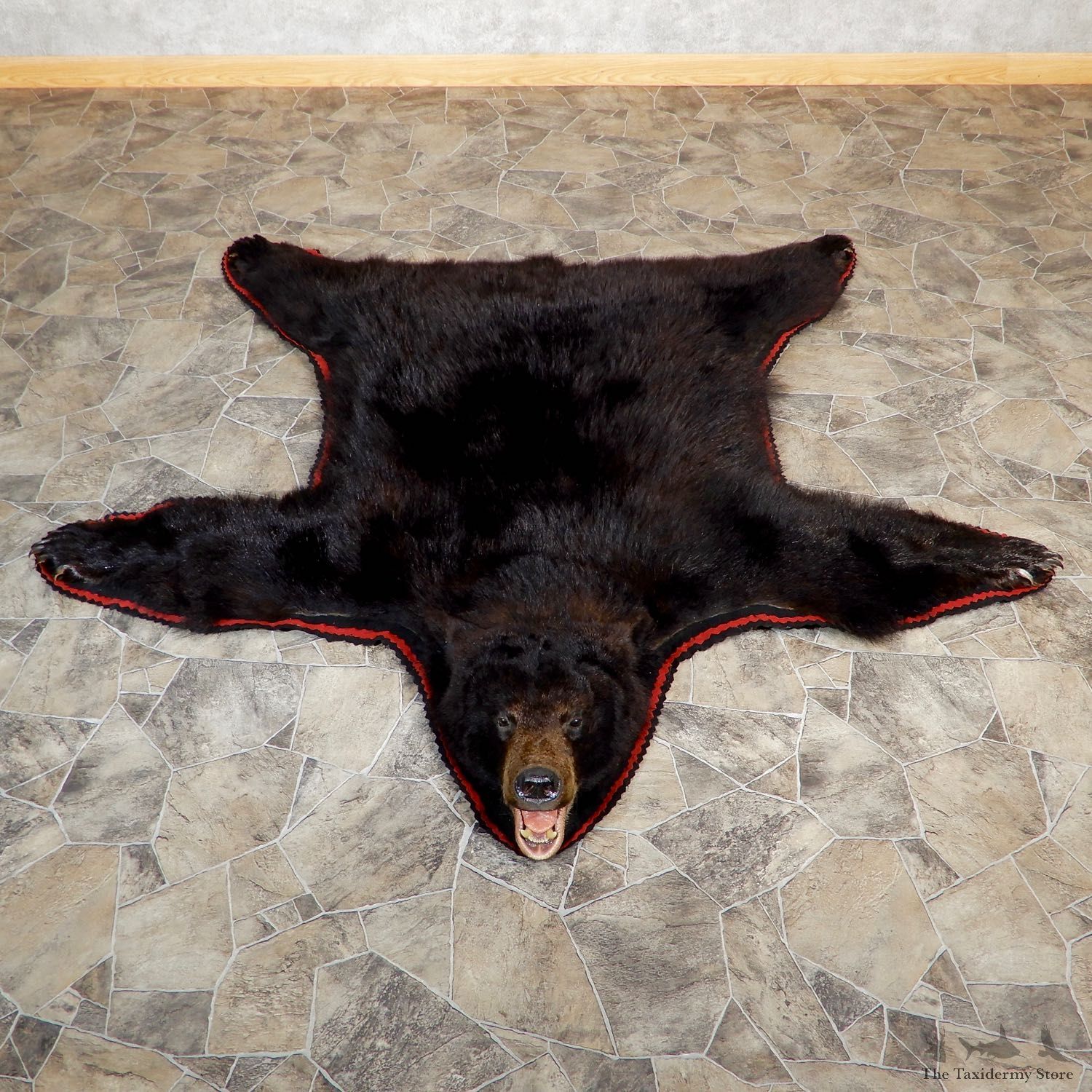 Black Bear Full-Size Rug For Sale #19316 @ The Taxidermy Store