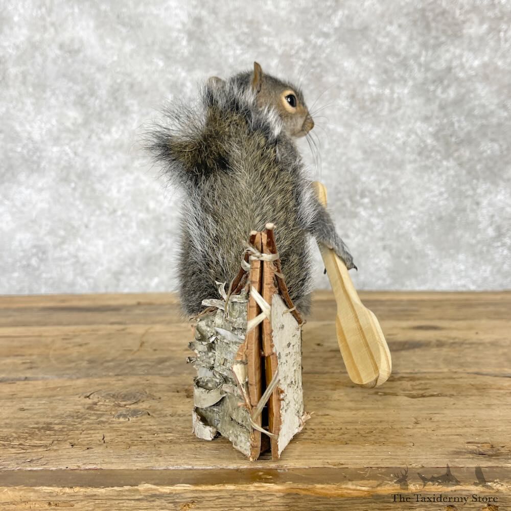 Canoe Squirrel Novelty Mount For Sale #28588 @ The Taxidermy Store