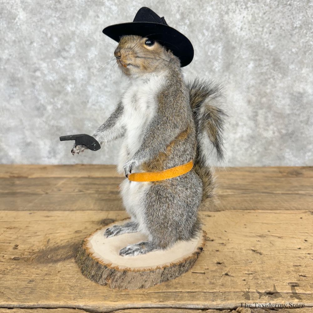 Cowboy Squirrel Novelty Mount For Sale #29485 @ The Taxidermy Store