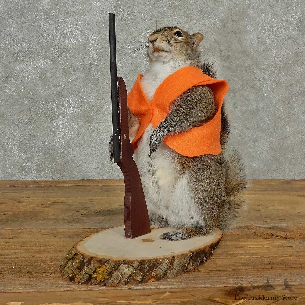 Hunting Squirrel Novelty Mount For Sale #16799 @ The Taxidermy Store
