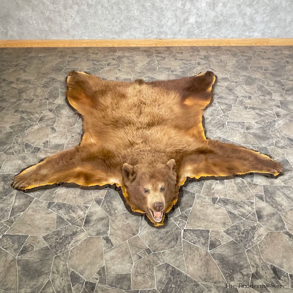 Cinnamon Phase Black Bear Full-Size Rug For Sale #26298 @ The Taxidermy Store