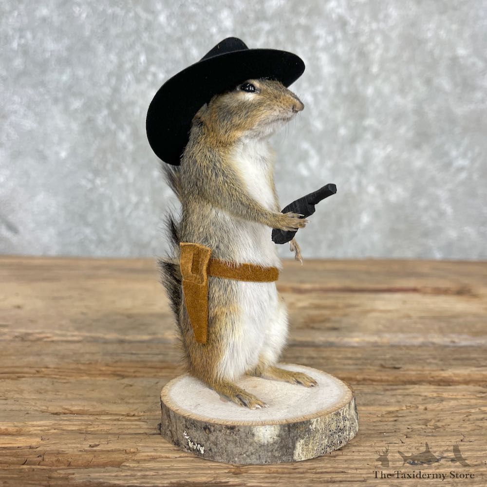 Cowboy Chipmunk Novelty Mount For Sale #26113 @ The Taxidermy Store