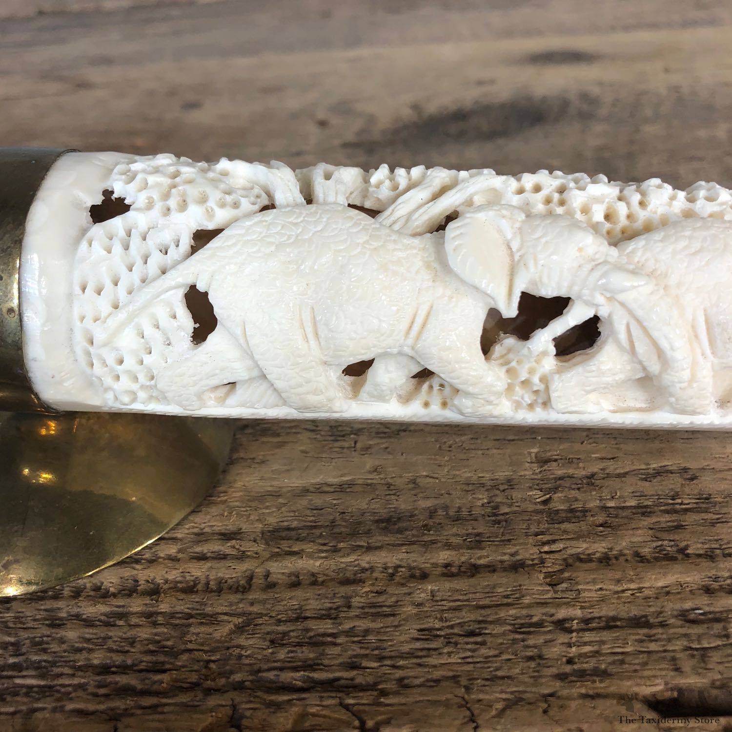 Carved Hippopotamus Tooth For Sale #19963 @ The Taxidermy Store