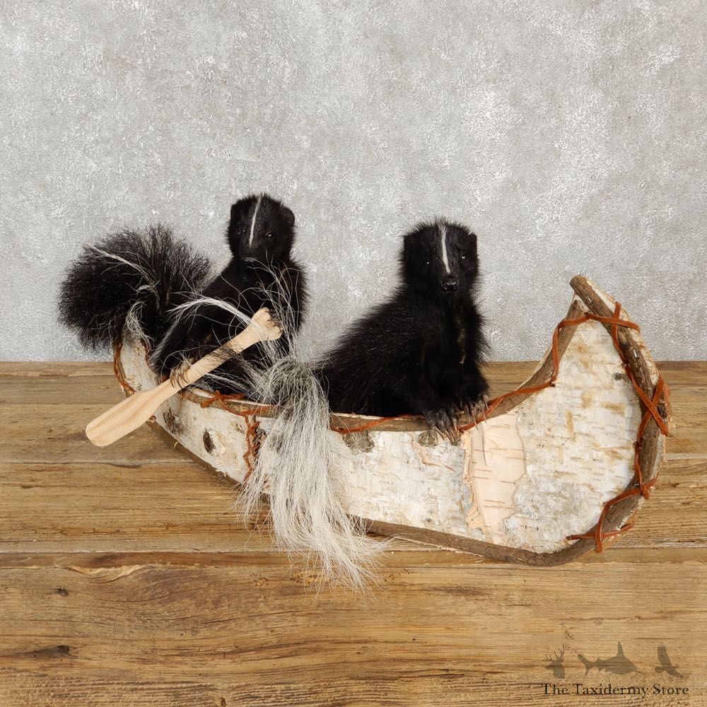 Canoeing Squirrel and Skunk Novelty Mount For Sale #20209 @ The Taxidermy Store