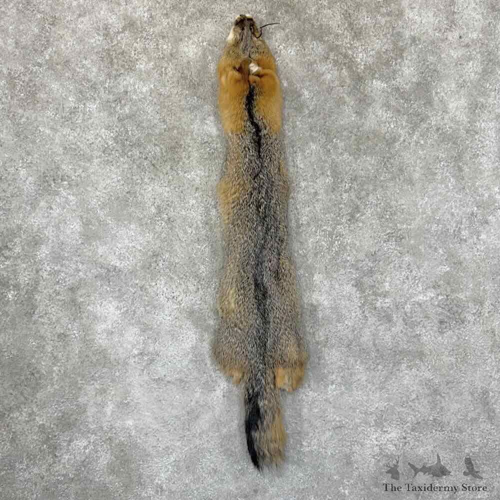 Grey Fox Tanned Hide For Sale #30959 @ The Taxidermy Store