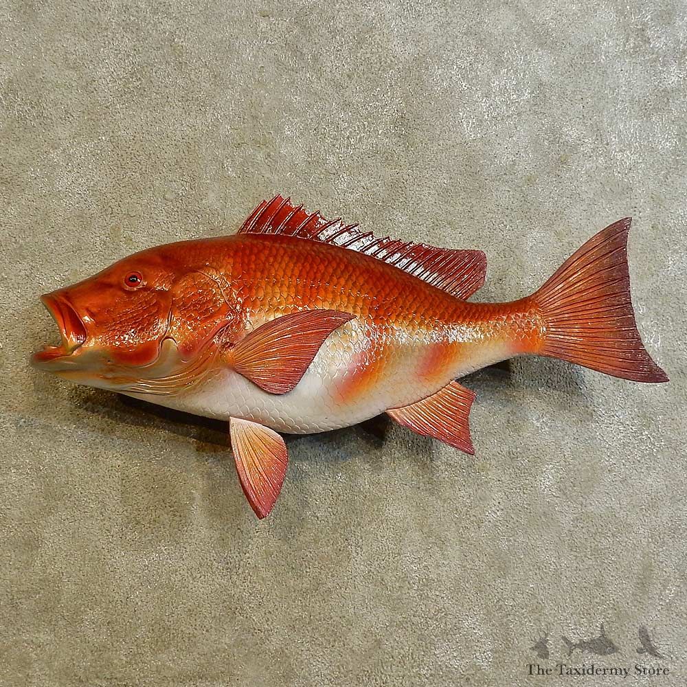 Red Snapper Replica Fish Mount For Sale #16535 @ The Taxidermy Store