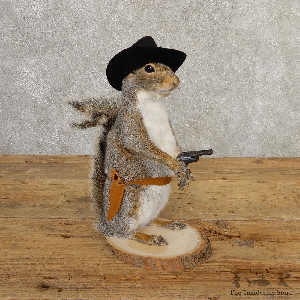 Cowboy Squirrel Novelty Mount For Sale #20715 @ The Taxidermy Store