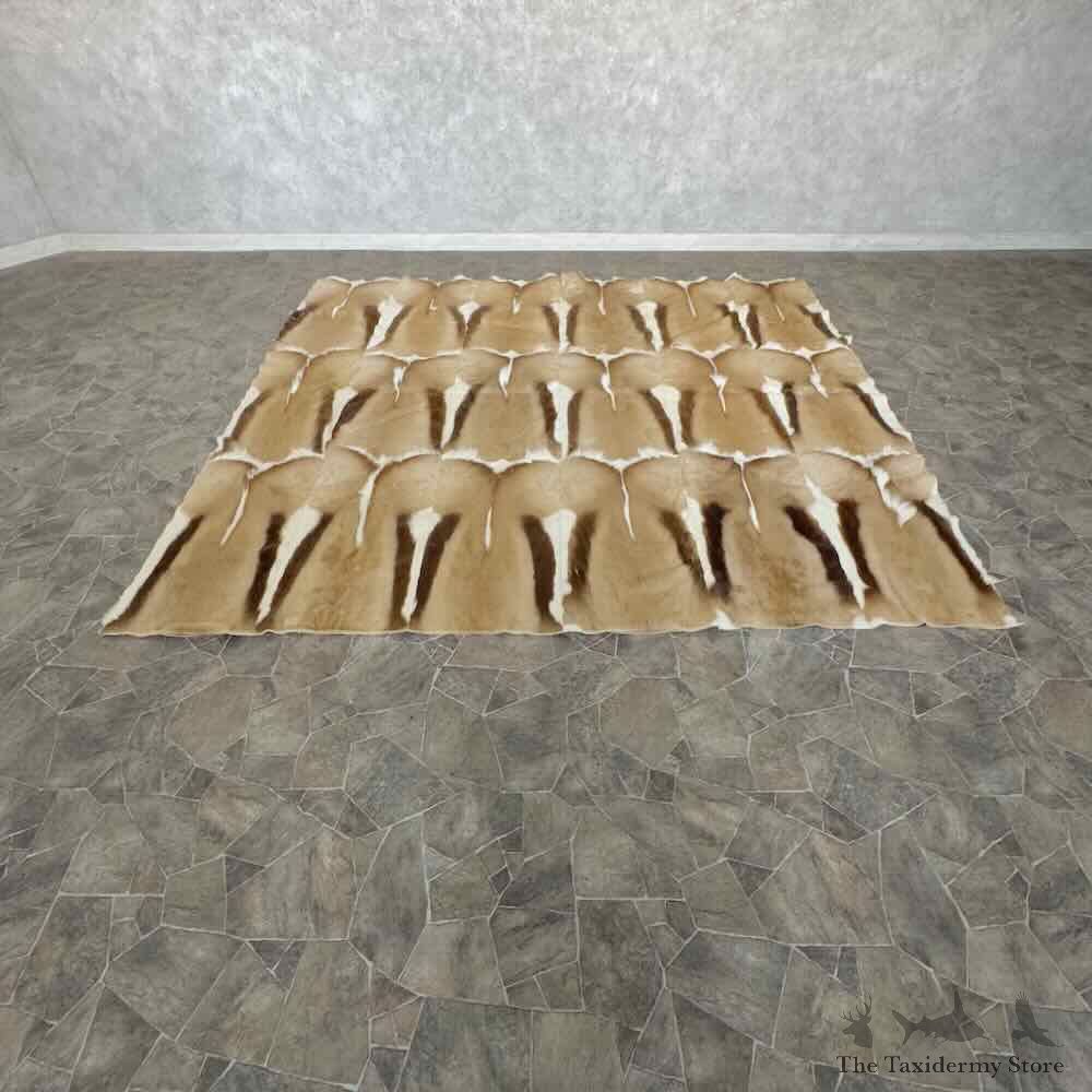 African Springbok Hide Throw For Sale #31041 @ The Taxidermy Store