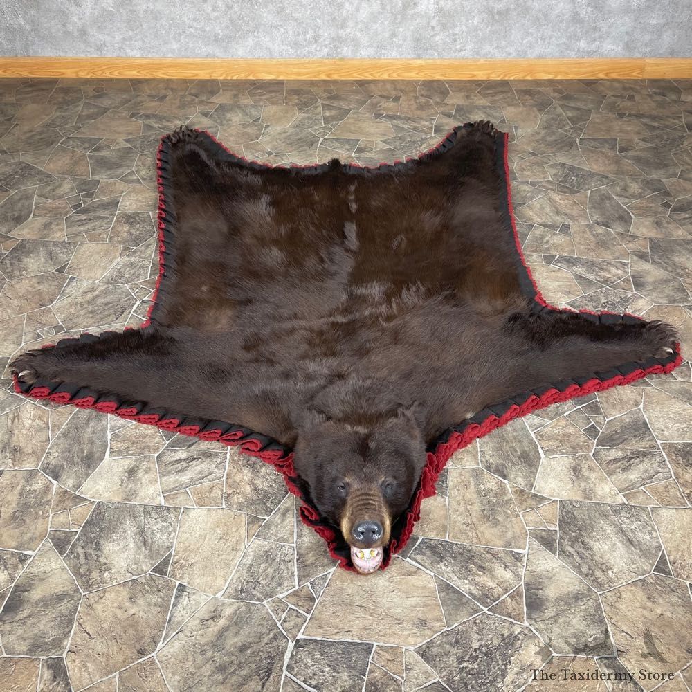 Chocolate Black Bear Full-Size Rug For Sale #24564 @ The Taxidermy Store