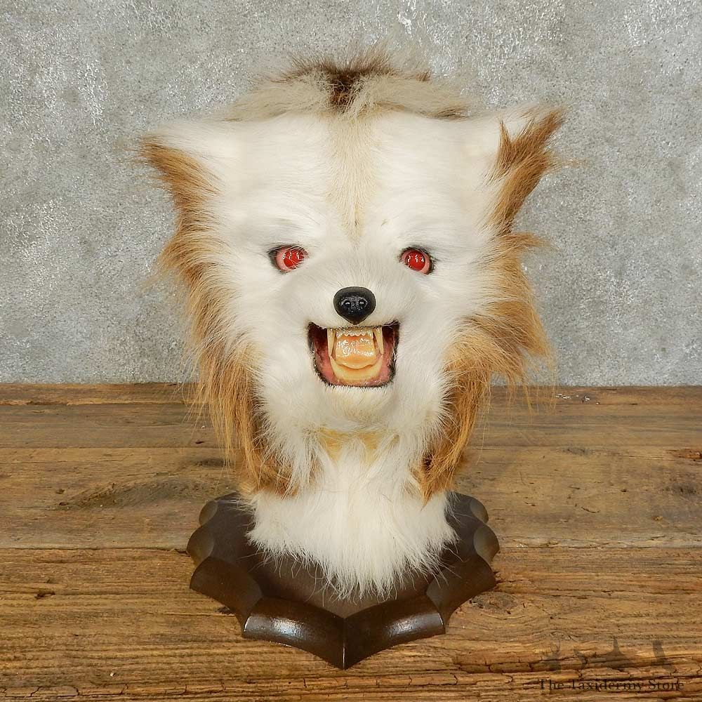 Swamp Booger Novely Mount For Sale #15862 @ The Taxidermy Store
