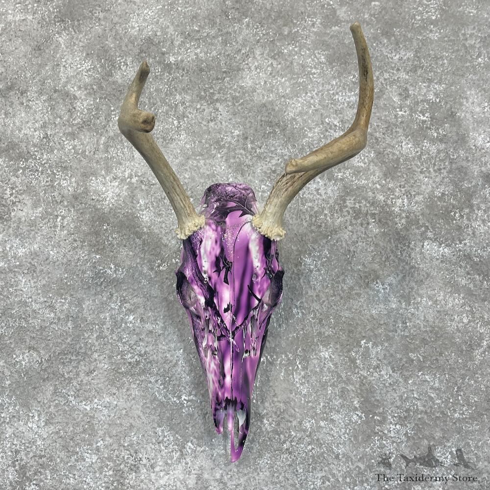 Whitetail Deer Dipped Skull Mount For Sale #28064 @ The Taxidermy Store