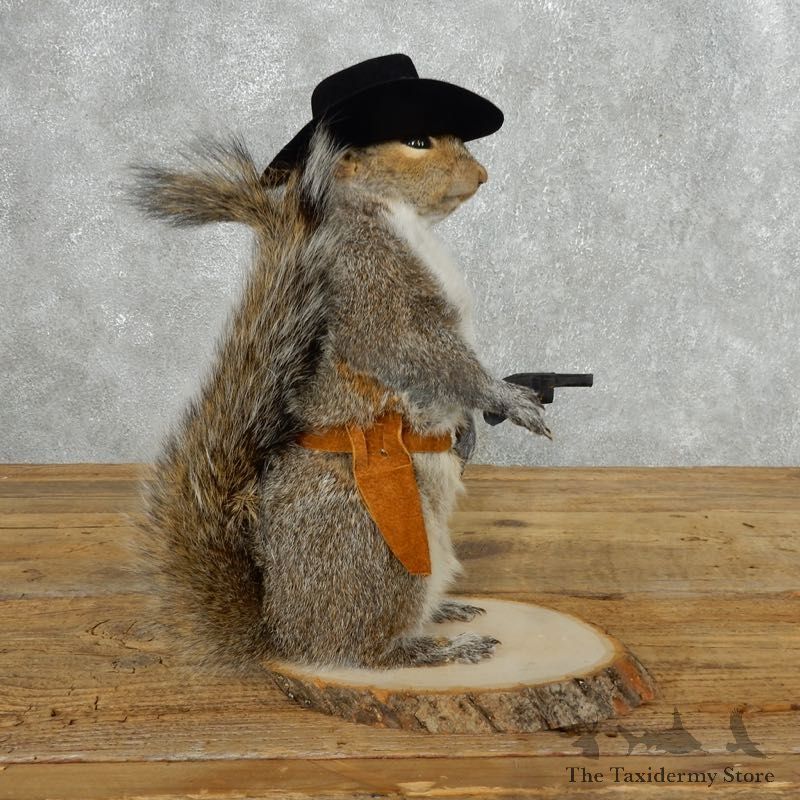 Cowboy Squirrel Novelty Mount For Sale #18195 @ The Taxidermy Store