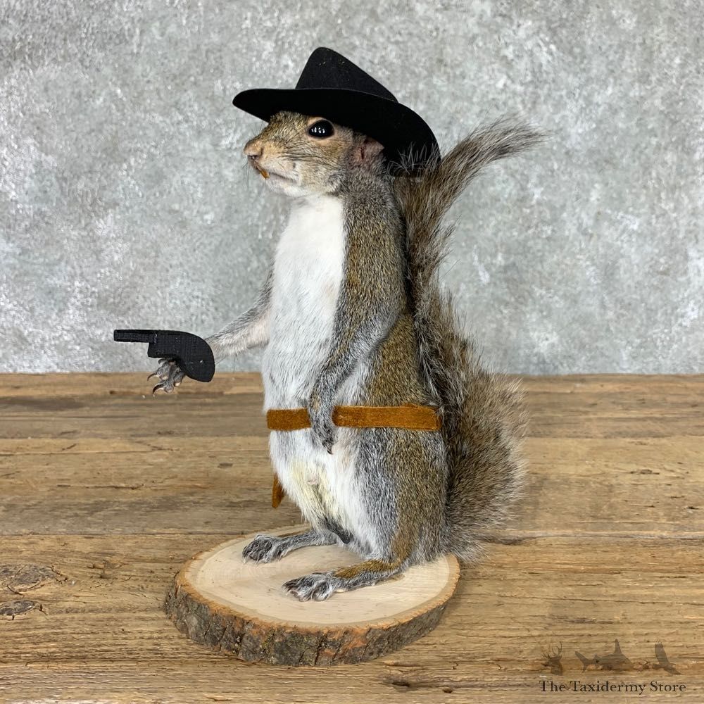 Cowboy Squirrel Novelty Mount For Sale #22433 @ The Taxidermy Store