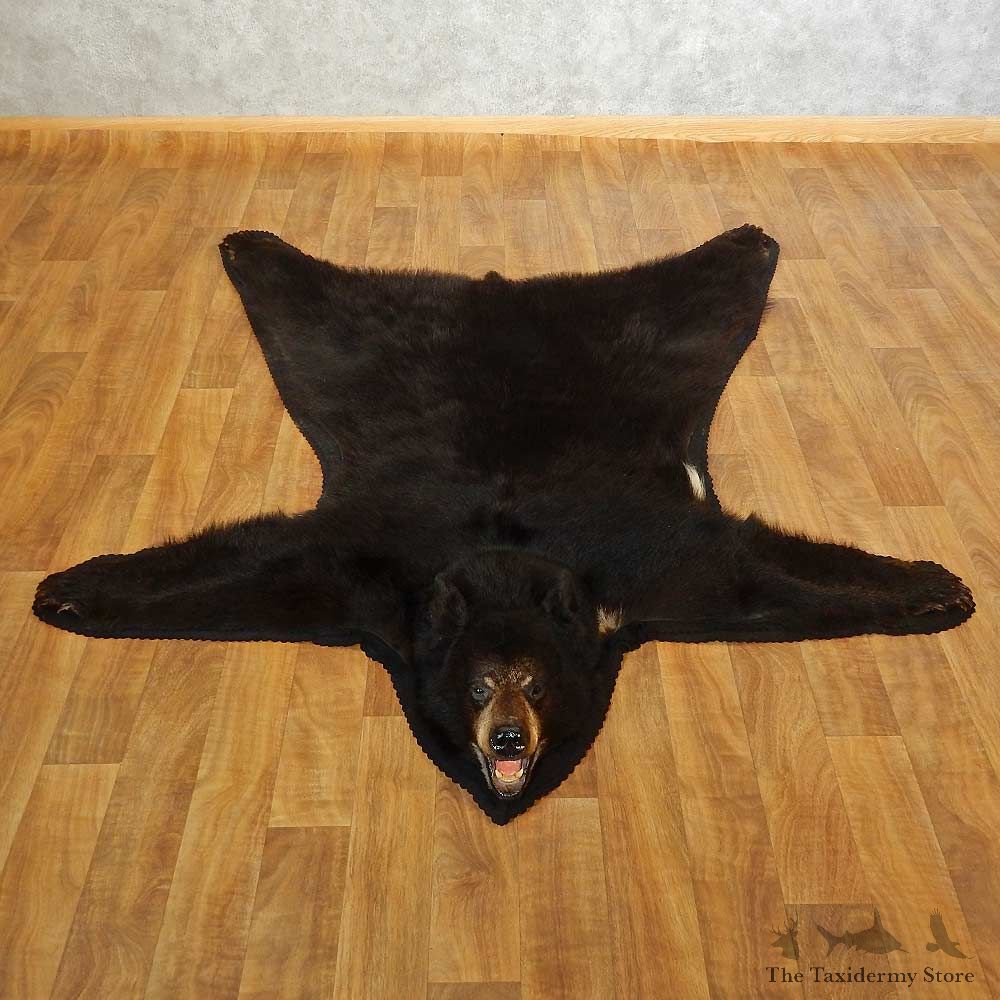 Black Bear Full-Size Rug For Sale #16637 @ The Taxidermy Store
