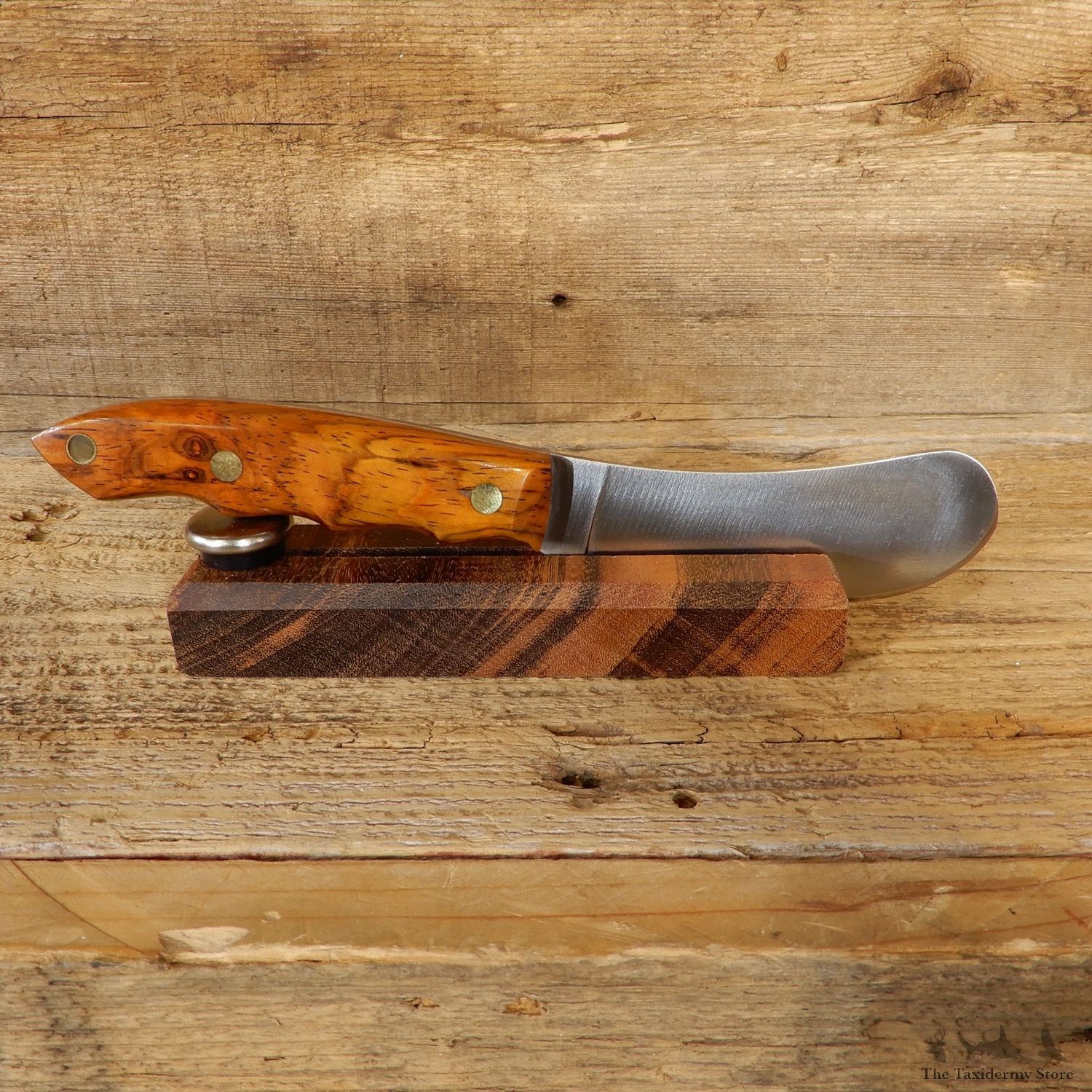 Beavertail Trapper Skinning Knife For Sale #19206 @ The Taxidermy Store