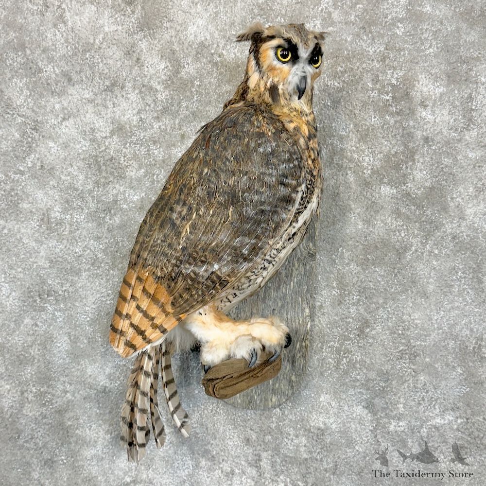 Reproduction Great Horned Owl Mount For Sale #29416 @ The Taxidermy Store