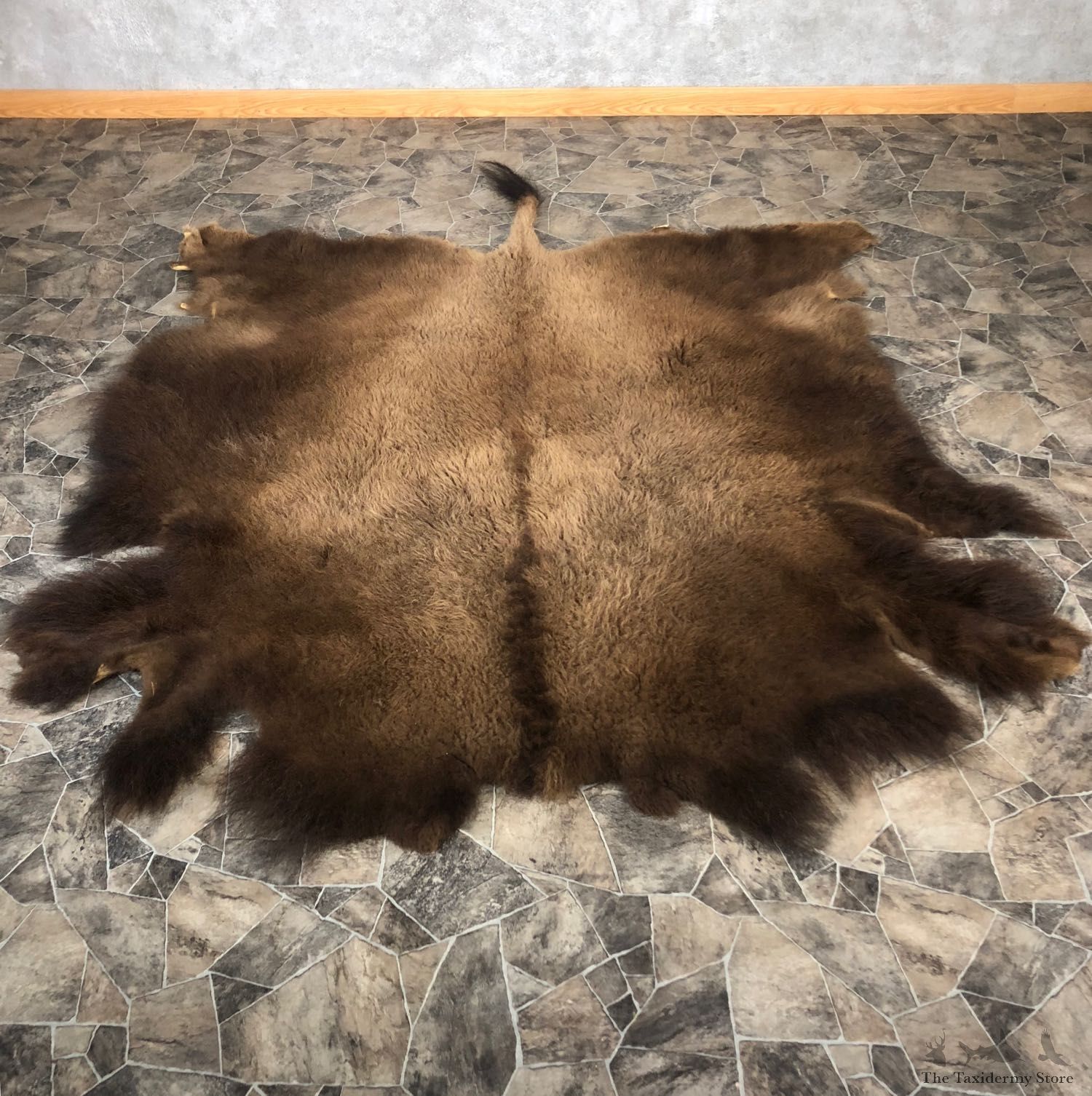 American Buffalo Bison Taxidermy Hide For Sale #20078 - The Taxidermy Store