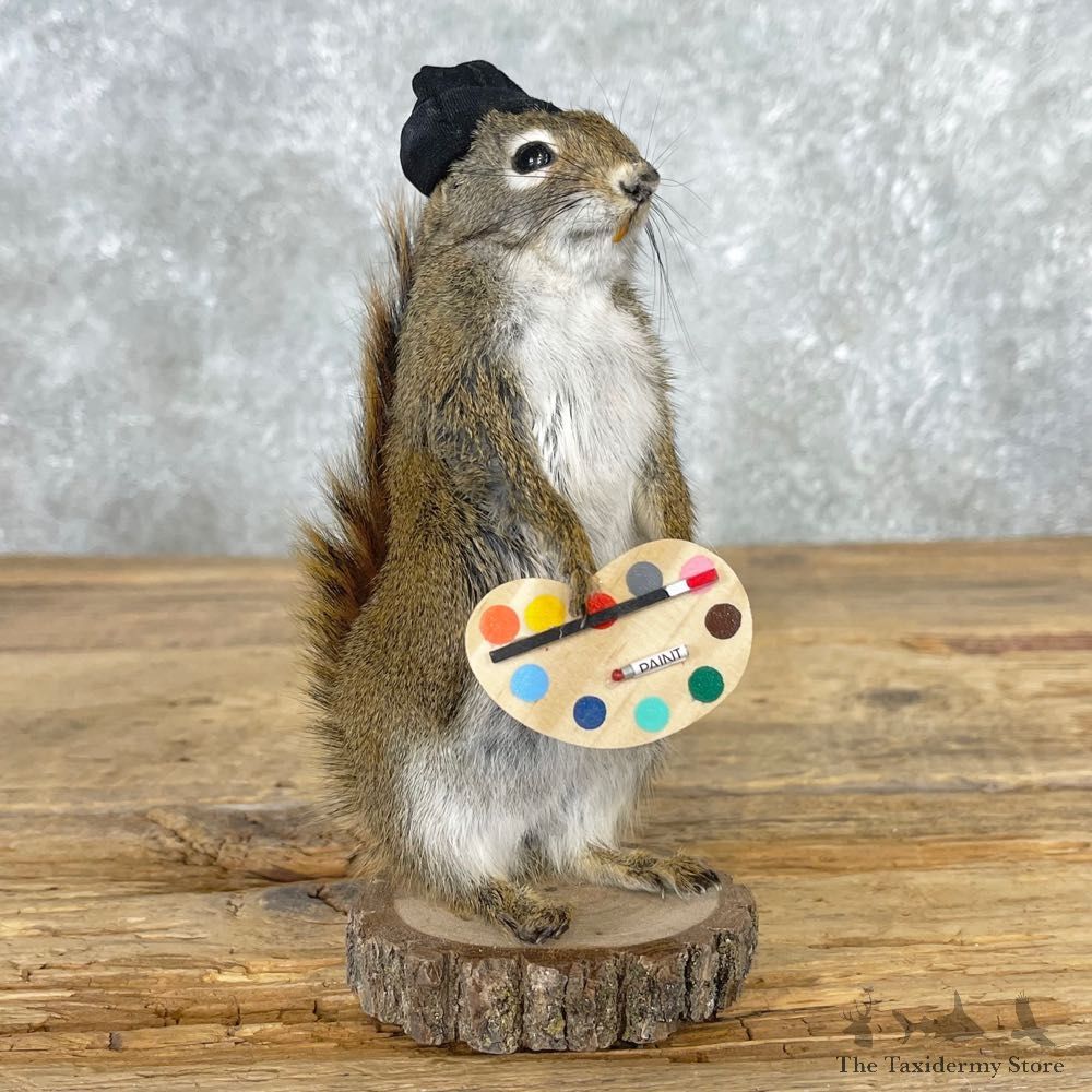 Artist Squirrel Novelty Mount For Sale #25058 @ The Taxidermy Store