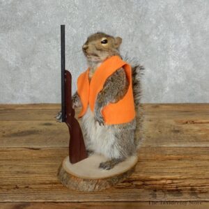Hunting Squirrel Novelty Mount For Sale #18037 @ The Taxidermy Store