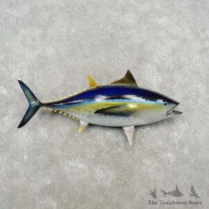 Yellow Fin Tuna Taxidermy Fish Mount For Sale - 17343 - The Taxidermy Store