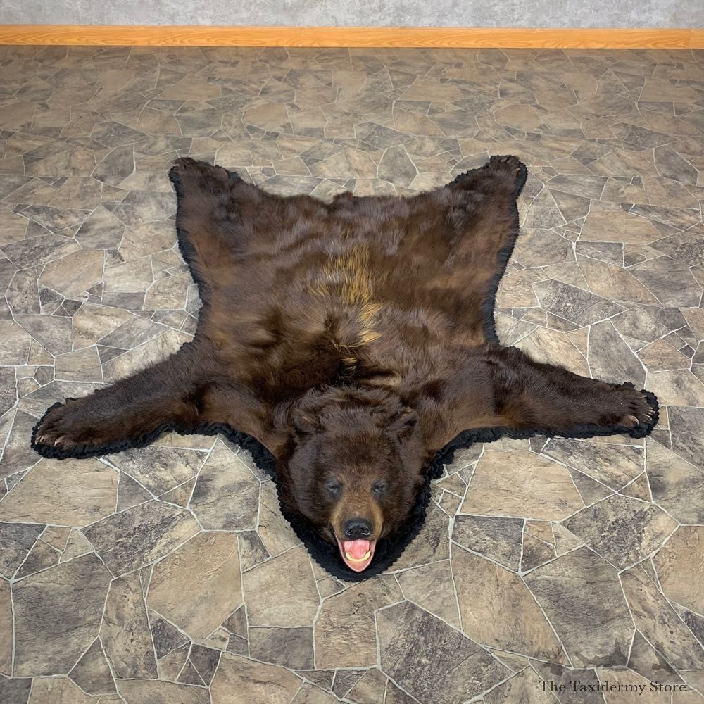 Cinnamon Phase Black Bear Full-Size Rug For Sale #22698 @ The Taxidermy Store