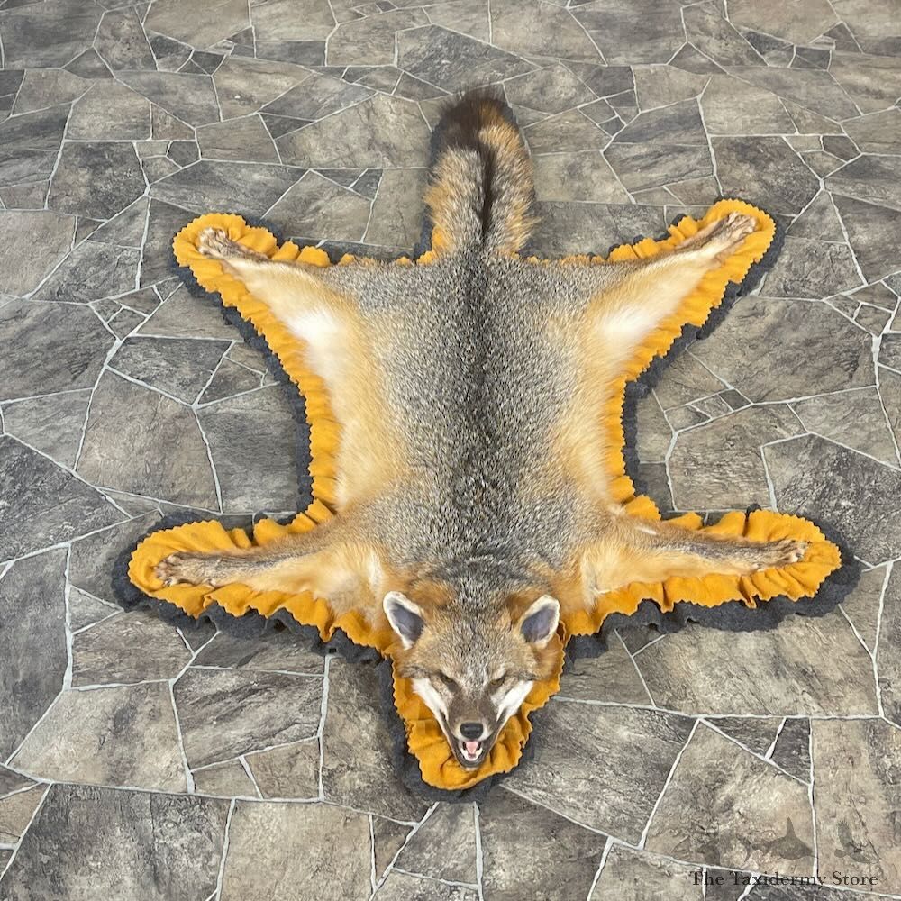 Grey Fox Full Rug Taxidermy Mount For Sale #27866 @ The Taxidermy Store