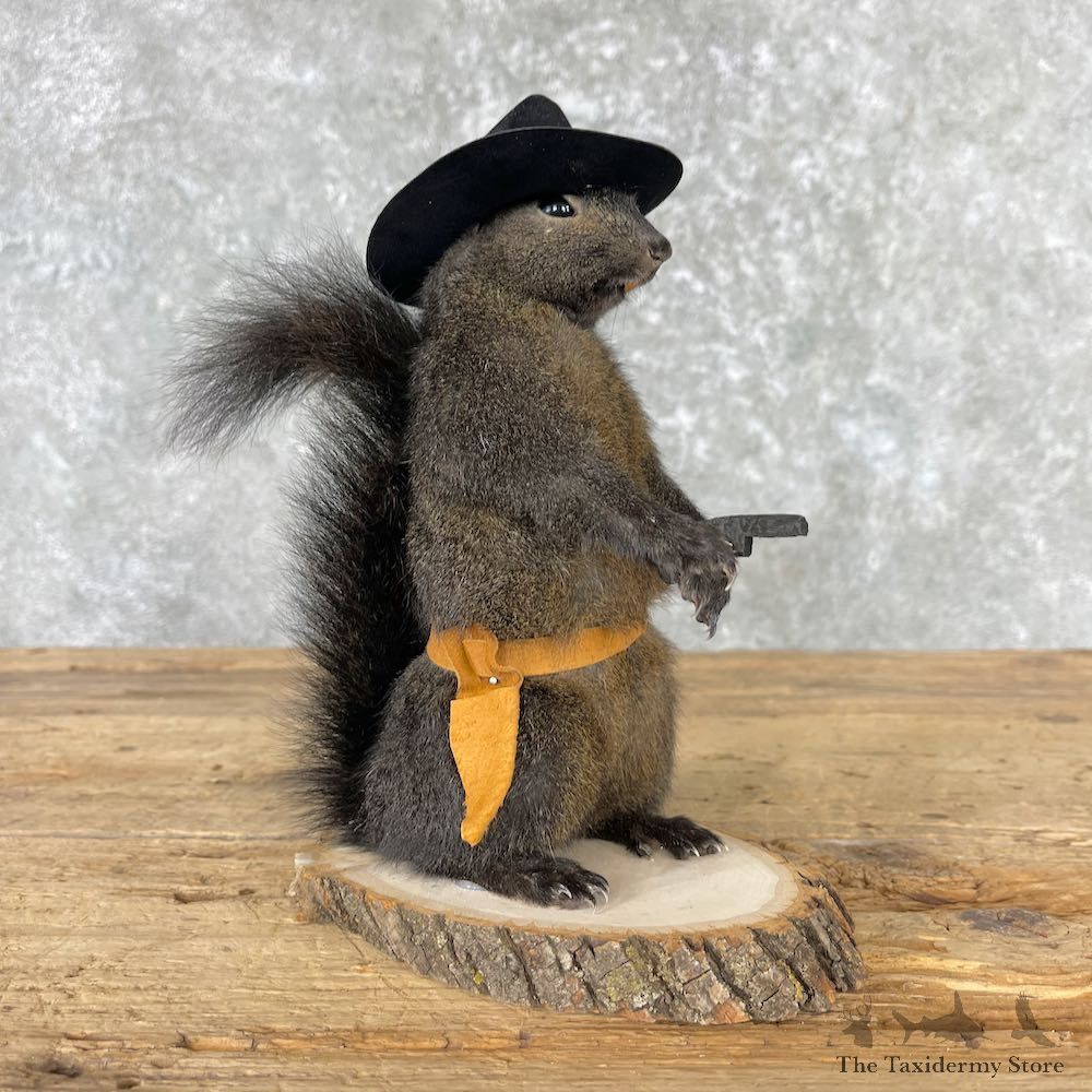 Cowboy Squirrel Novelty Mount For Sale #27018 @ The Taxidermy Store
