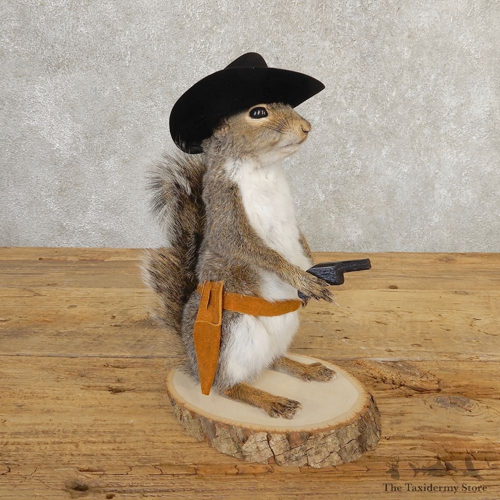 Cowboy Squirrel Novelty Mount For Sale #20731 @ The Taxidermy Store