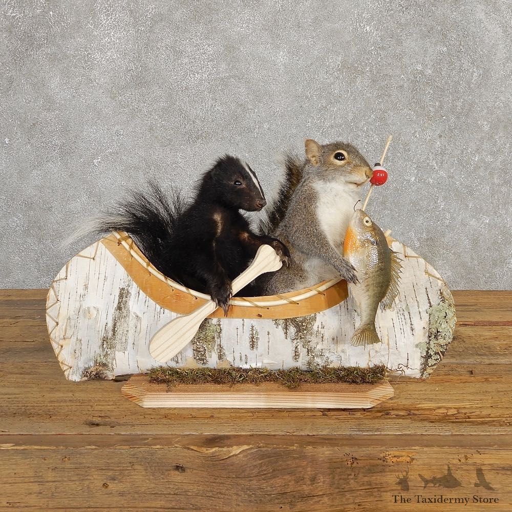 Canoeing Squirrel and Skunk Novelty Mount For Sale #20202 @ The Taxidermy Store