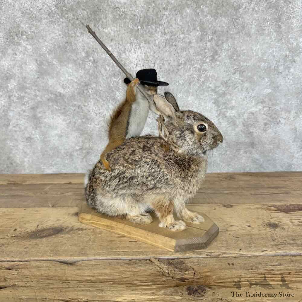 Novelty Red Squirrel & Rabbit Mount For Sale #31120 @ The Taxidermy Store