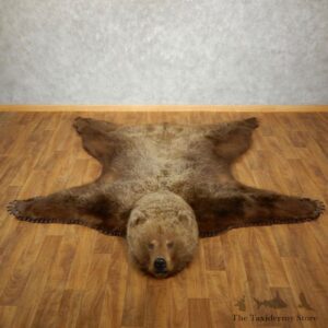 Grizzly Bear Taxidermy Rug Mount For Sale #17495 @ The Taxidermy Store