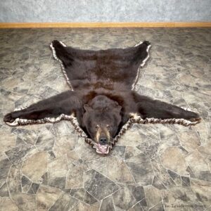 Chocolate Black Bear Full-Size Rug For Sale #24563 @ The Taxidermy Store