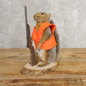 Hunting Squirrel Novelty Mount For Sale #21020 @ The Taxidermy Store