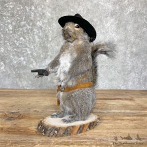 Cowboy Squirrel Novelty Mount For Sale #26386 @ The Taxidermy Store
