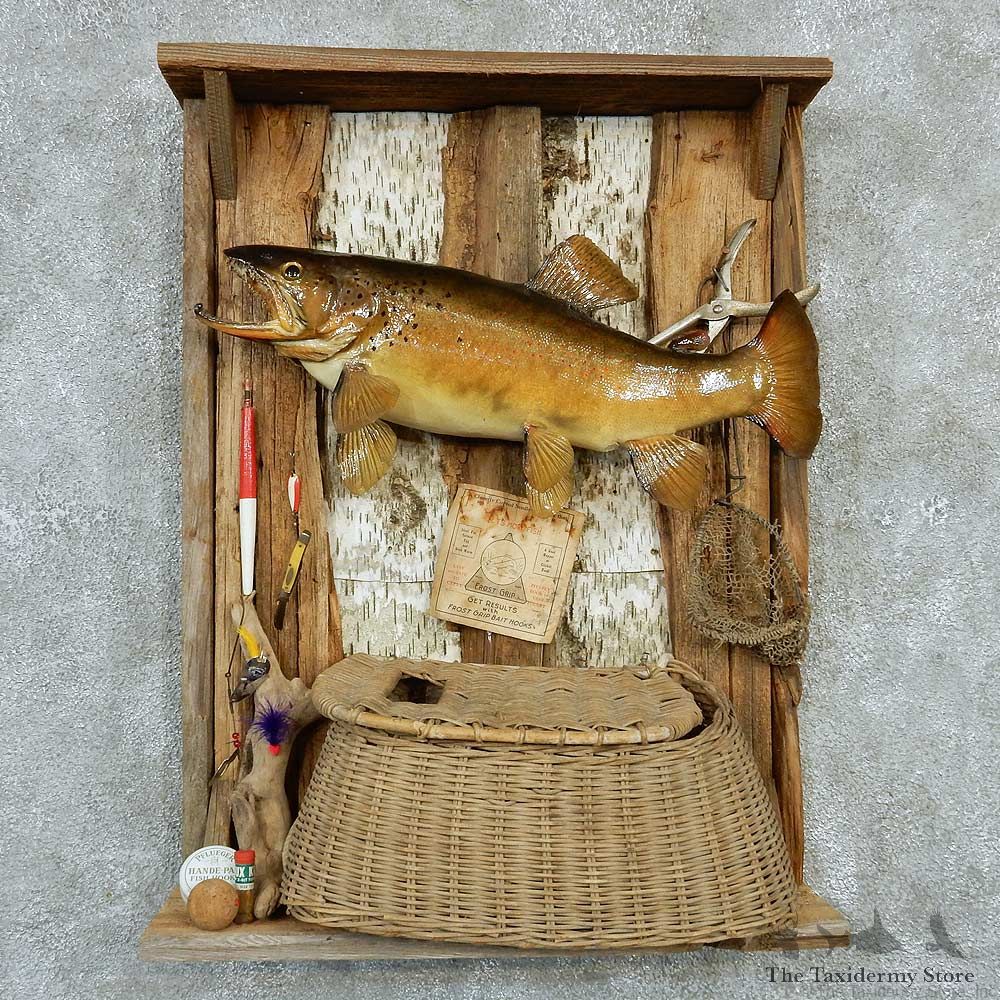 Captain's Classic Brown Trout Display Taxidermy Mount #13299 For Sale @ The Taxidermy Store