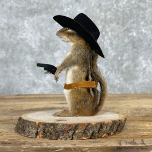Cowboy Chipmunk Novelty Mount For Sale #24056 @ The Taxidermy Store