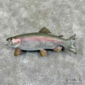 Rainbow Trout Fish Mount For Sale #30881 @ The Taxidermy Store