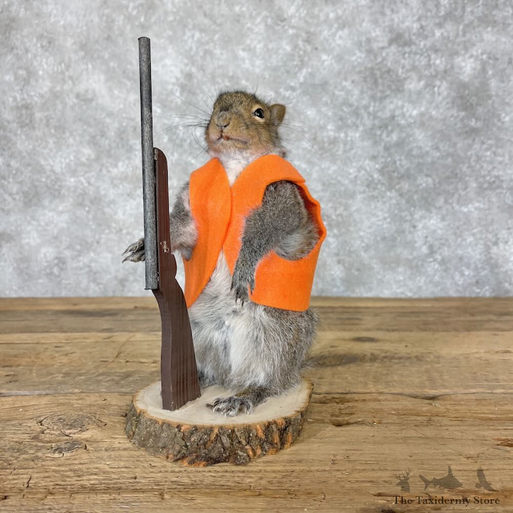 Hunting Squirrel Novelty Mount For Sale #28618 @ The Taxidermy Store