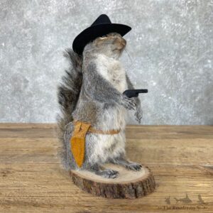 Cowboy Squirrel Novelty Mount For Sale #24978 @ The Taxidermy Store