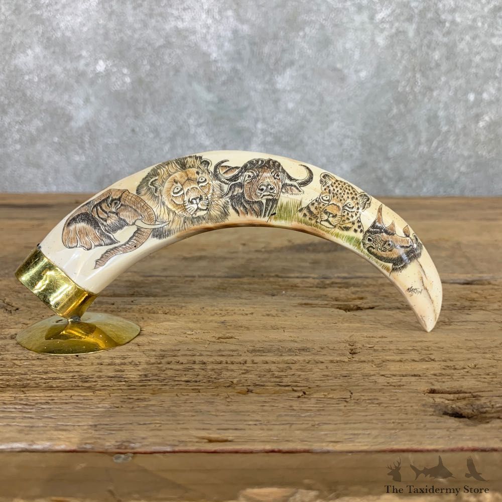 Scrimshawed Warthog Tooth For Sale #22389 @ The Taxidermy Store