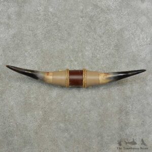 Longhorn Steer Horn Plaque For Sale #16770 @ The Taxidermy Store