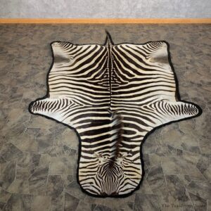 African Zebra Full-Size Taxidermy Rug For Sale #22542 @ The Taxidermy Store