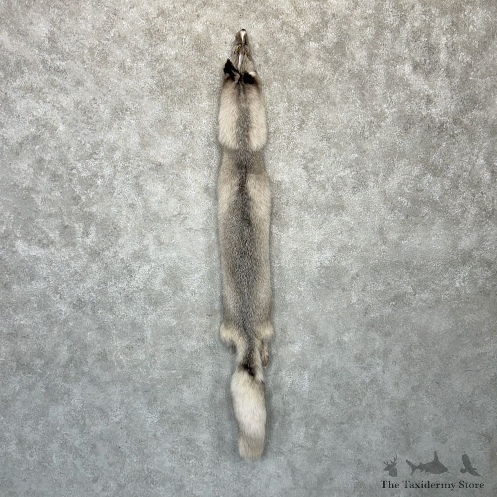Platinum Fox Tanned Hide For Sale #29744 @ The Taxidermy Store
