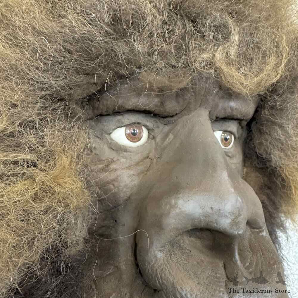 Replica Bigfoot Head Mount For Sale #30918 @ The Taxidermy Store
