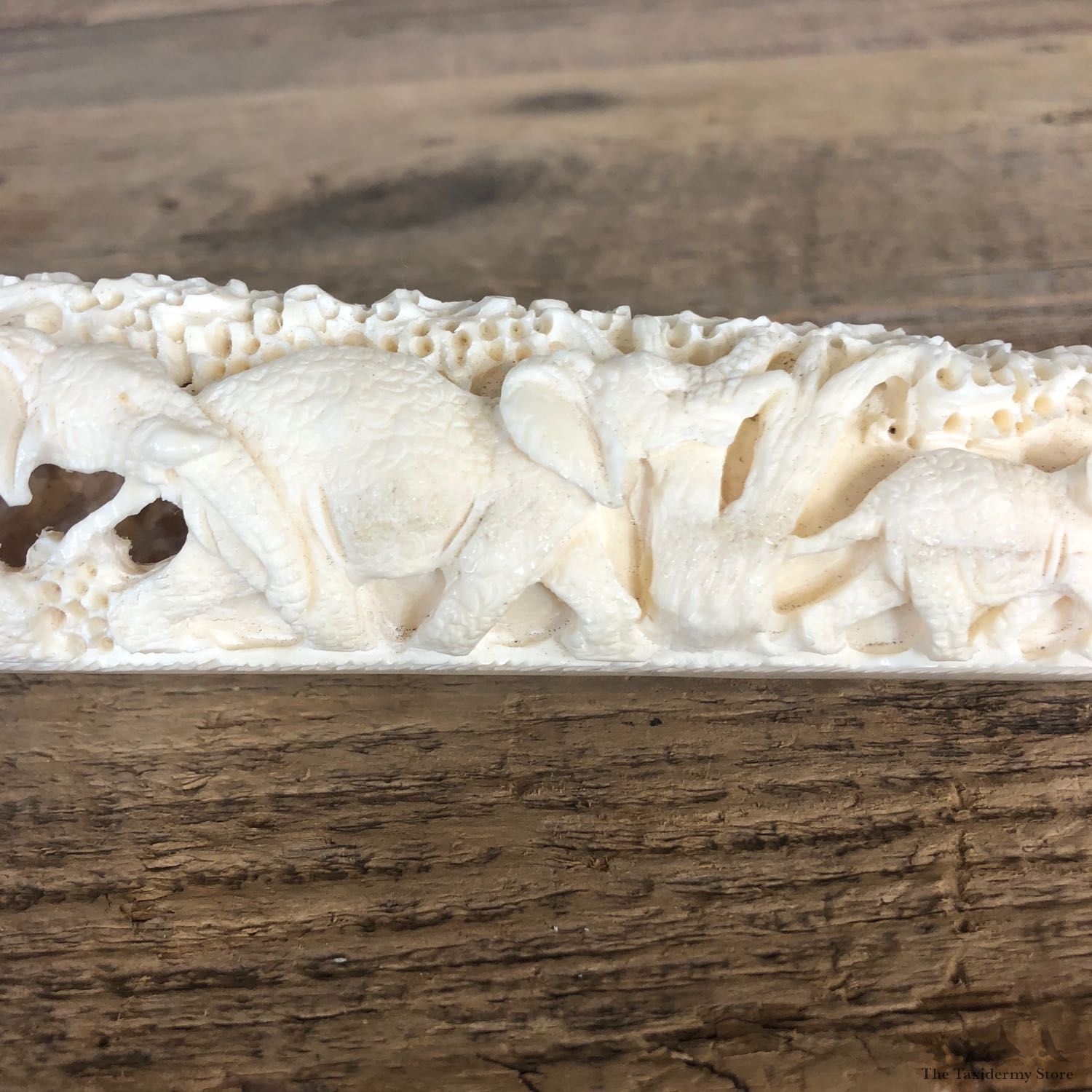 Carved Hippopotamus Tooth For Sale #19963 @ The Taxidermy Store