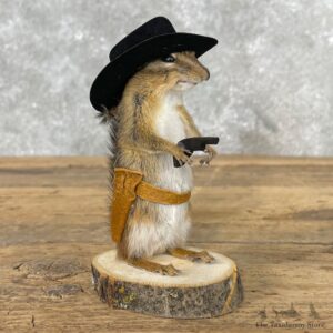 Cowboy Chipmunk Novelty Mount For Sale #26099 @ The Taxidermy Store